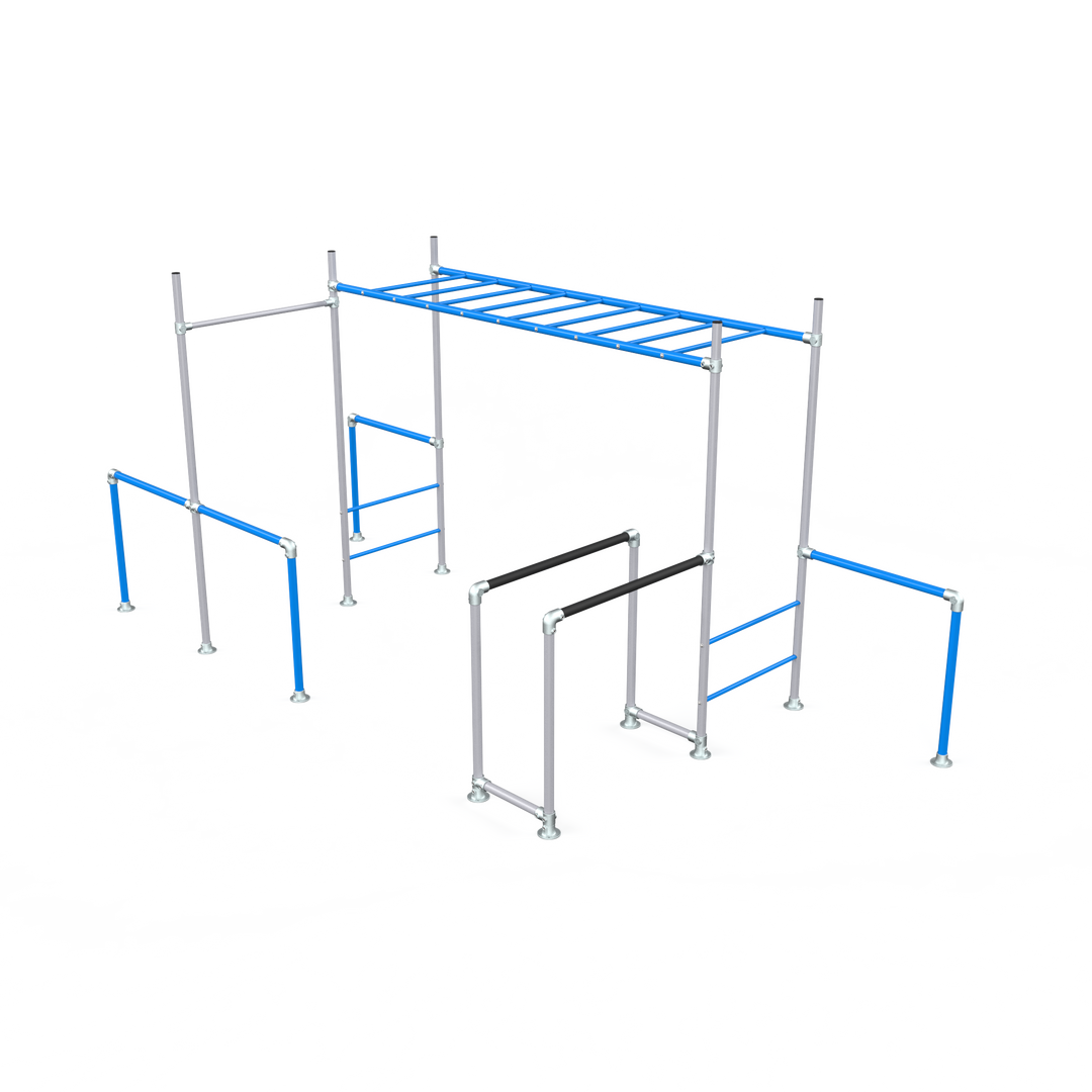 Blue Tamarin Base monkey bar frame with ladder and dip bars