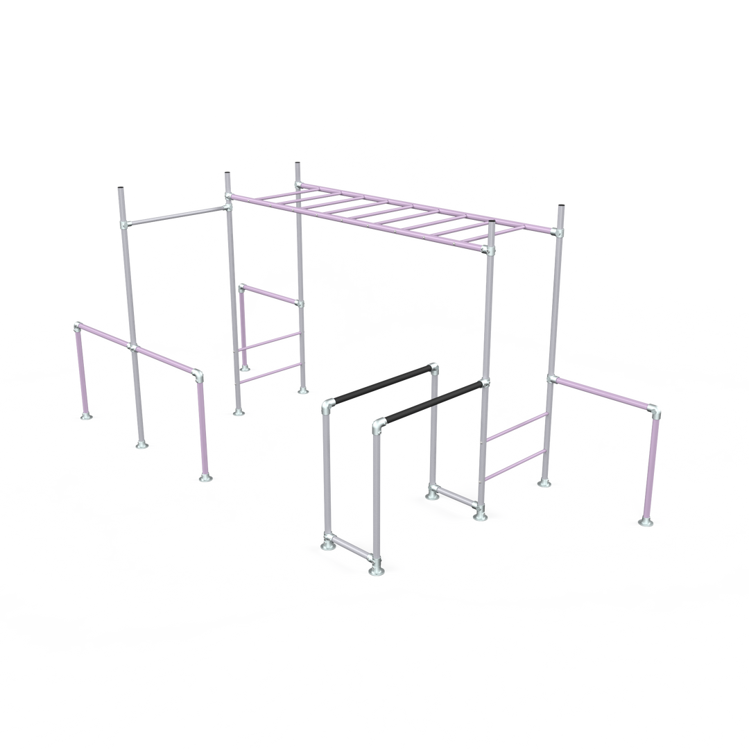 Lilac Tamarin Base monkey bar frame with ladder and dip bars