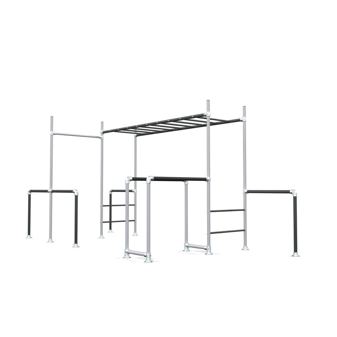 Tamarin Base Funky Monkey Bars frame with ladder, pull up bar and dip bars