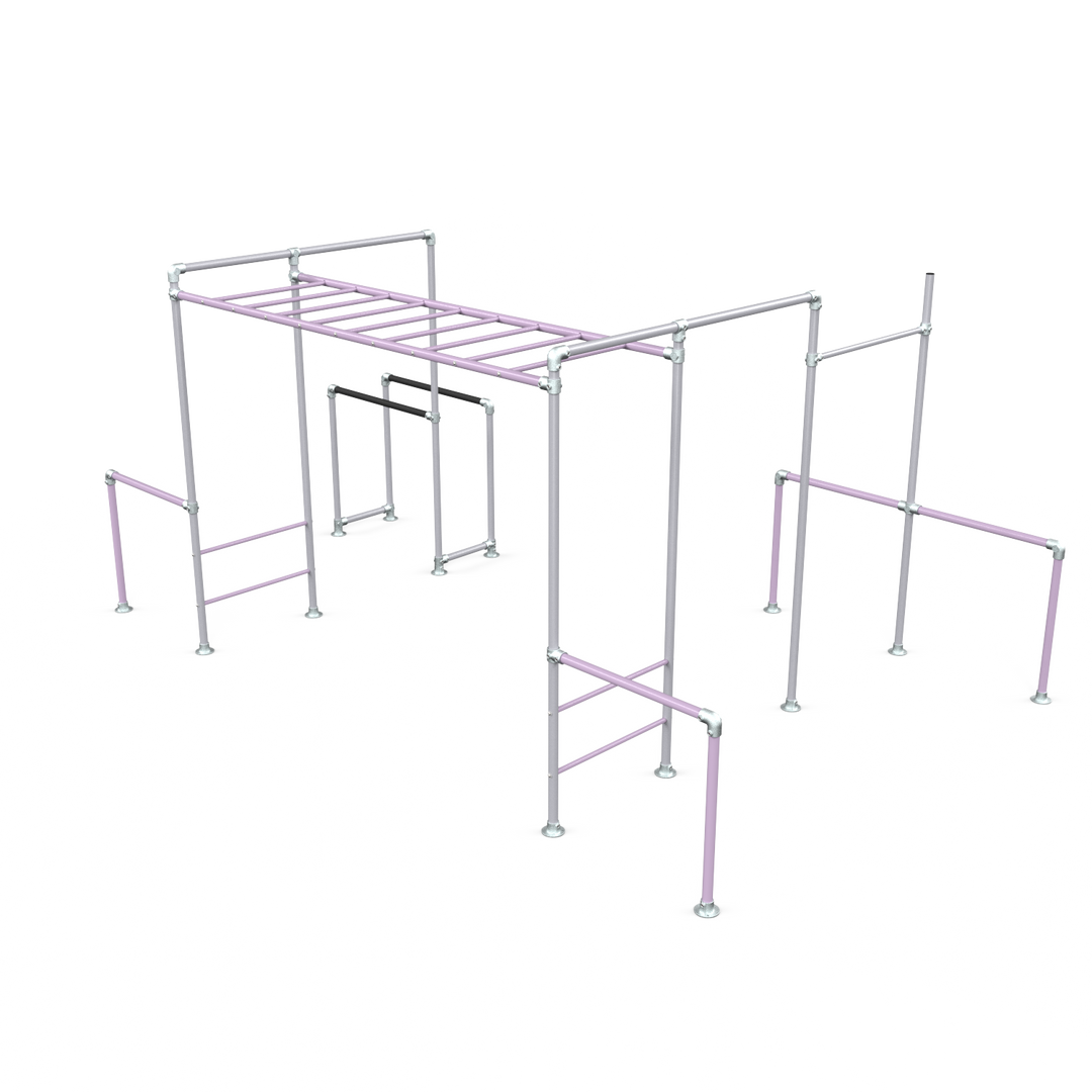 Lilac Tamarin Plus Base monkey bar frame with gym rings and dip bars