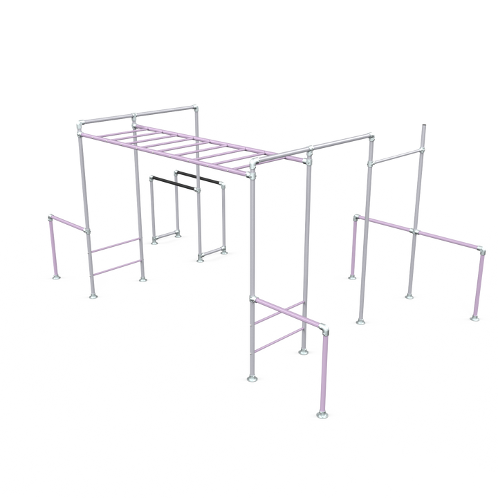 Lilac Tamarin Plus Base monkey bar frame with gym rings and dip bars