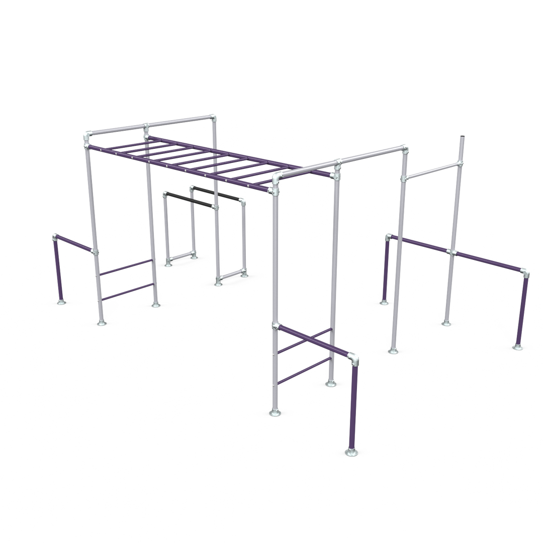 Purple Tamarin Plus Base monkey bar frame with gym rings and dip bars