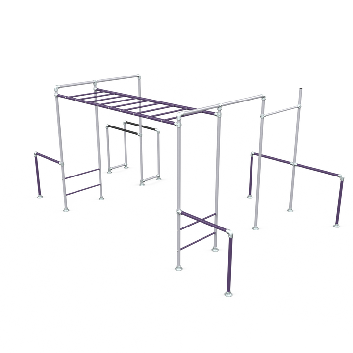 Purple Tamarin Plus Base monkey bar frame with gym rings and dip bars