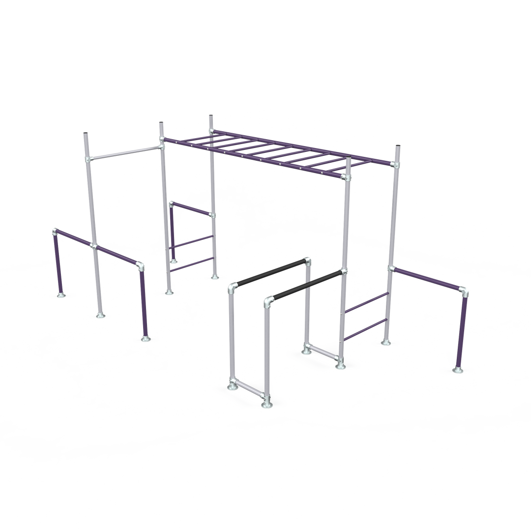 Purple Tamarin Base monkey bar frame with ladder and dip bars
