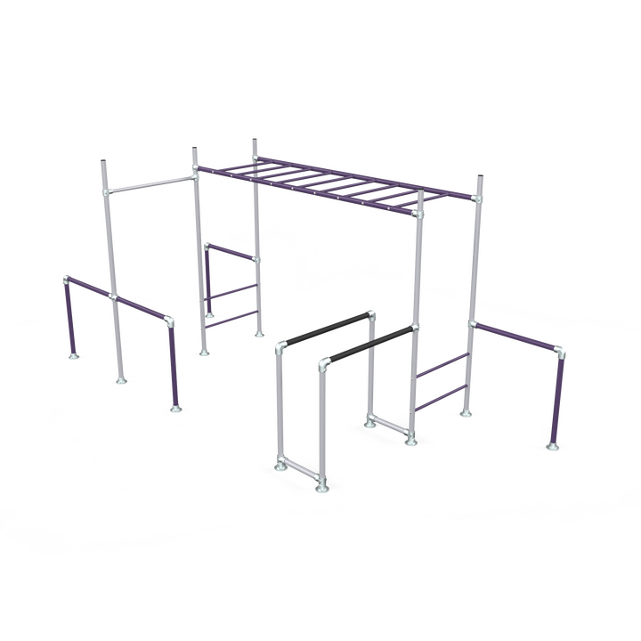 Purple Tamarin Base monkey bar frame with ladder and dip bars