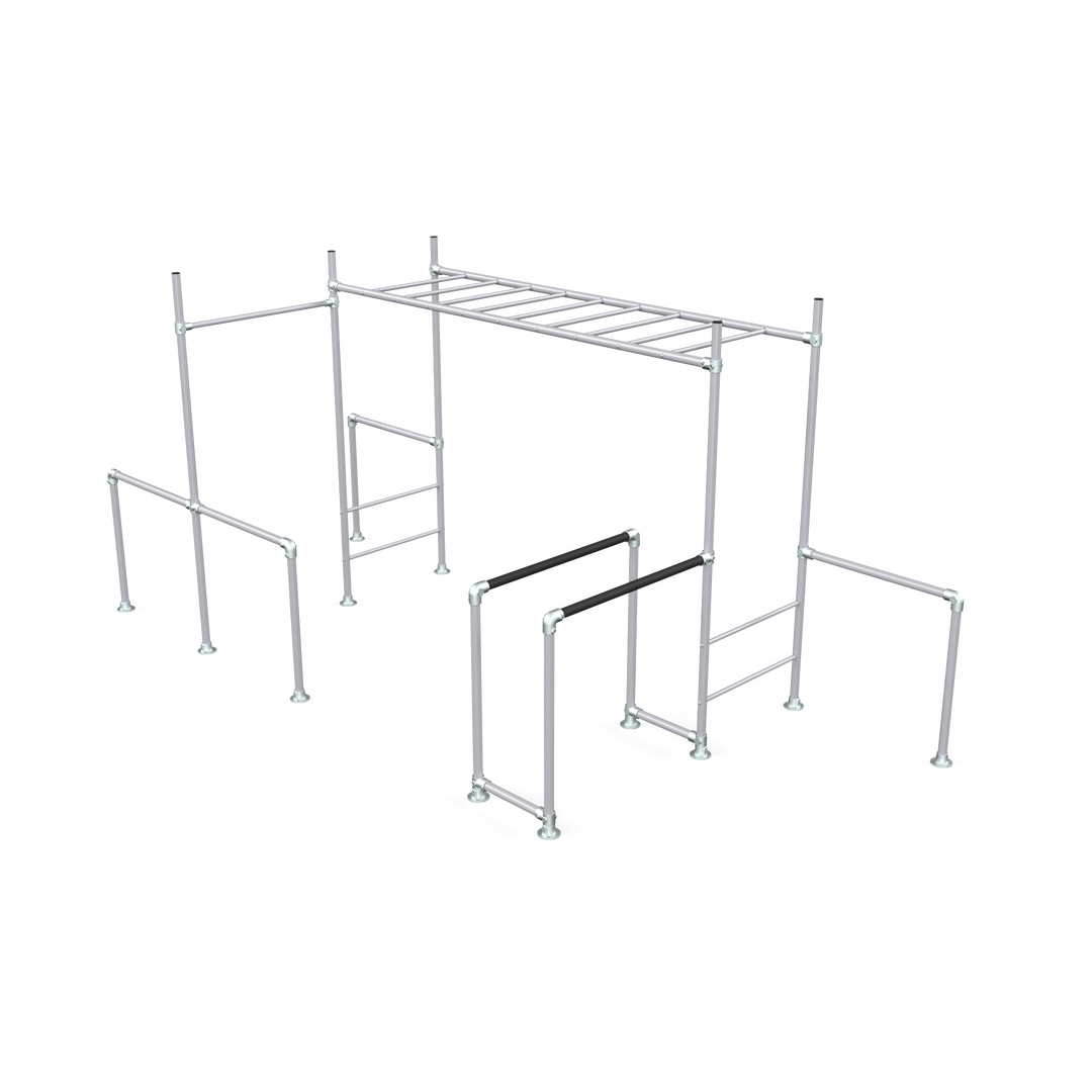 Silver Tamarin Base monkey bar frame with ladder and dip bars