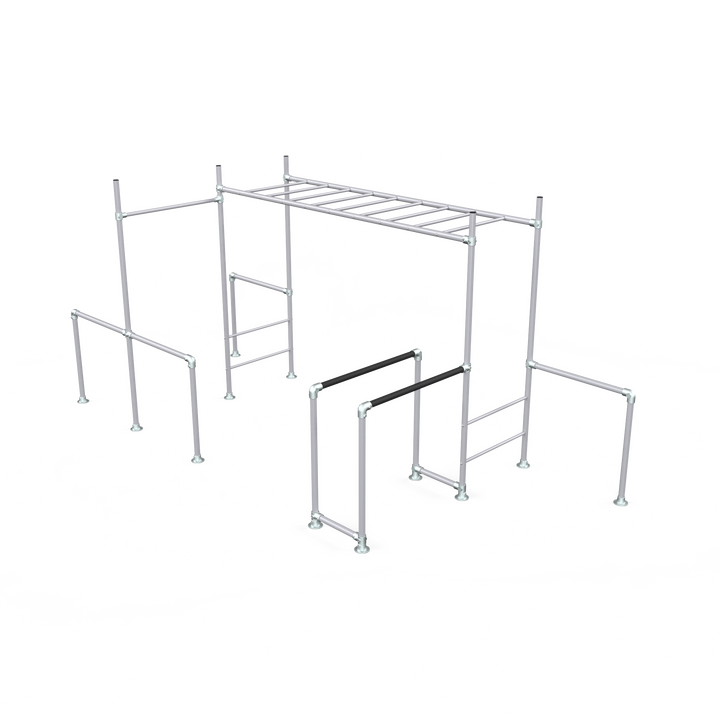 Silver Tamarin Base monkey bar frame with ladder and dip bars